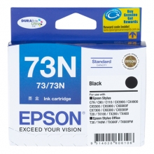Ink, Epson T0731 - T1051 Black PC